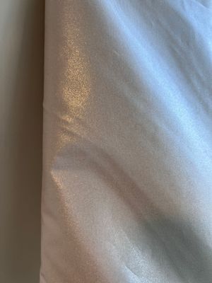 Shiny 982-013